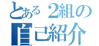 とある２組の自己紹介（）