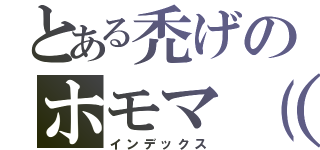 とある禿げのホモマ（（ｒｙ（インデックス）