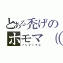 とある禿げのホモマ（（ｒｙ（インデックス）