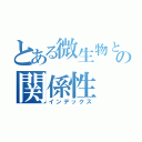 とある微生物と水流の関係性（インデックス）