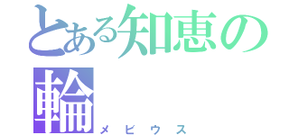 とある知恵の輪（メビウス）