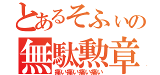 とあるそふぃの無駄勲章（痛い痛い痛い痛い）