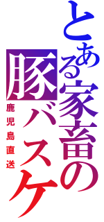 とある家畜の豚バスケ（鹿児島直送）