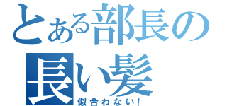 とある部長の長い髪（似合わない！）