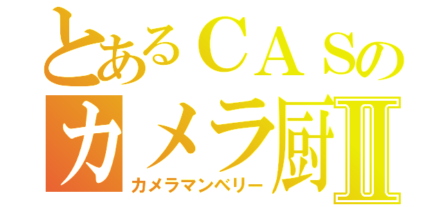 とあるＣＡＳのカメラ厨Ⅱ（カメラマンベリー）