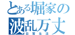 とある堀家の波乱万丈（日常生活）