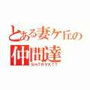 とある妻ケ丘の仲間達（ＳＨＴＲＹＫＴＴ）