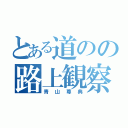 とある道のの路上観察（青山尊典）