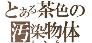 とある茶色の汚染物体（うんこ）