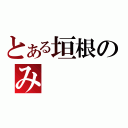 とある垣根のみ（）