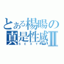 とある楊暘の真是性感Ⅱ（ＳＥＸＹ）