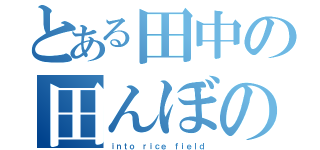 とある田中の田んぼの中（ｉｎｔｏ ｒｉｃｅ ｆｉｅｌｄ）