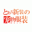 とある新装の宠物服装（新秋上市）