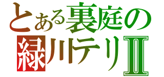 とある裏庭の緑川テリ王Ⅱ（）