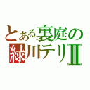 とある裏庭の緑川テリ王Ⅱ（）