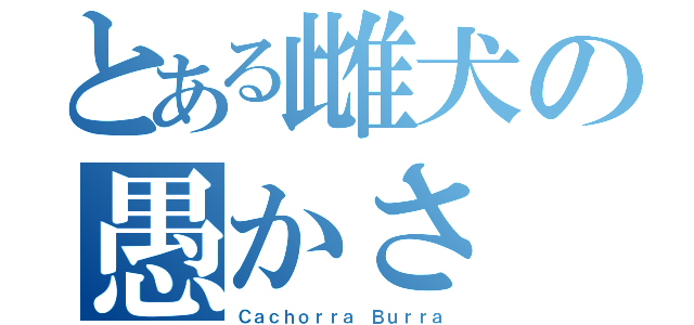 とある雌犬の愚かさ（Ｃａｃｈｏｒｒａ Ｂｕｒｒａ）