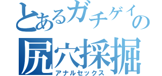 とあるガチゲイの尻穴採掘（アナルセックス）