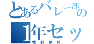 とあるバレー部の１年セッター（牧野夢叶）