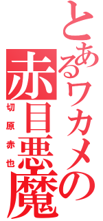 とあるワカメの赤目悪魔（切原赤也）