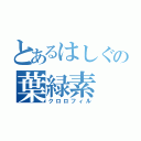 とあるはしぐの葉緑素（クロロフィル）