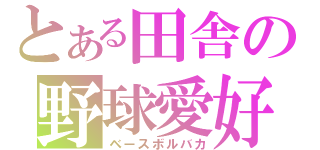 とある田舎の野球愛好（ベースボルバカ）