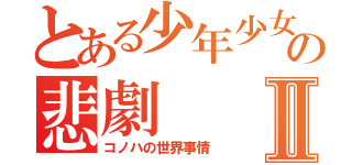 とある少年少女の悲劇Ⅱ（コノハの世界事情）