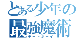 とある少年の最強魔術（チートボーイ）