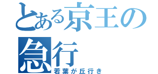 とある京王の急行（若葉が丘行き）