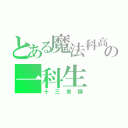 とある魔法科高校の一科生（十三束鋼）