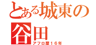 とある城東の谷田（アフロ歴１６年）