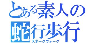 とある素人の蛇行歩行（スネークウォーク）