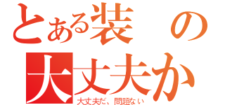 とある装備の大丈夫か？（大丈夫だ、問題ない）