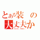 とある装備の大丈夫か？（大丈夫だ、問題ない）