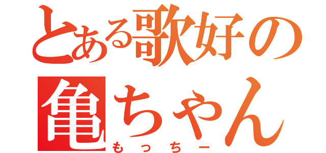 とある歌好の亀ちゃん（もっちー）