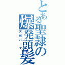 とある聖隷の爆発頭髪（天然パーマ）