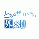 とあるザリガニの外来種（アメリカザリガニ）