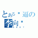 とある傻逼の李向红（ＳＢＢＴ）