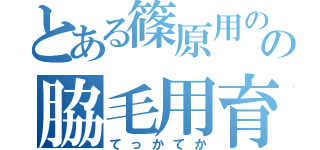 とある篠原用のの脇毛用育毛剤（てっかてか）