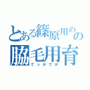 とある篠原用のの脇毛用育毛剤（てっかてか）