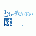 とある我が家の妹（ハク）