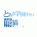 とある学園中の熊猫（めむ）