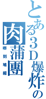 とある３Ｄ爆炸の肉蒲團Ⅱ（嚇到鳩縮）