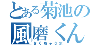 とある菊池の風磨くん（きくちふうま）