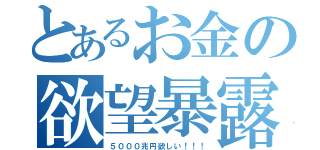 とあるお金の欲望暴露（５０００兆円欲しい！！！）