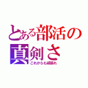 とある部活の真剣さ（これからも頑張れ）