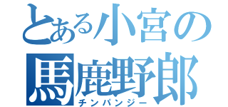 とある小宮の馬鹿野郎（チンパンジー）