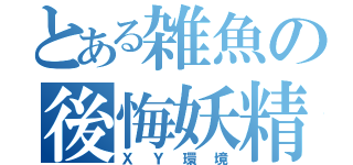 とある雑魚の後悔妖精パ（ＸＹ環境）