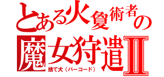 とある火夐術者の魔女狩遣Ⅱ（捨て犬（バーコード））