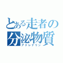 とある走者の分泌物質（アドレナリン）