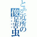 とある近所の俊足害虫（ゴキブリ）